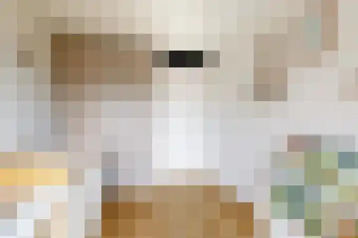 Van Leijenberghlaan 2 T Amsterdam thumbnail 27
