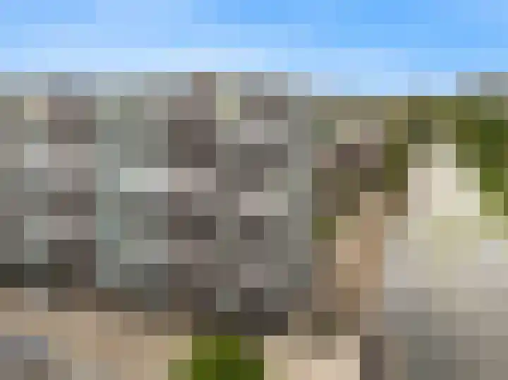 Van Leijenberghlaan 2 T Amsterdam thumbnail 5