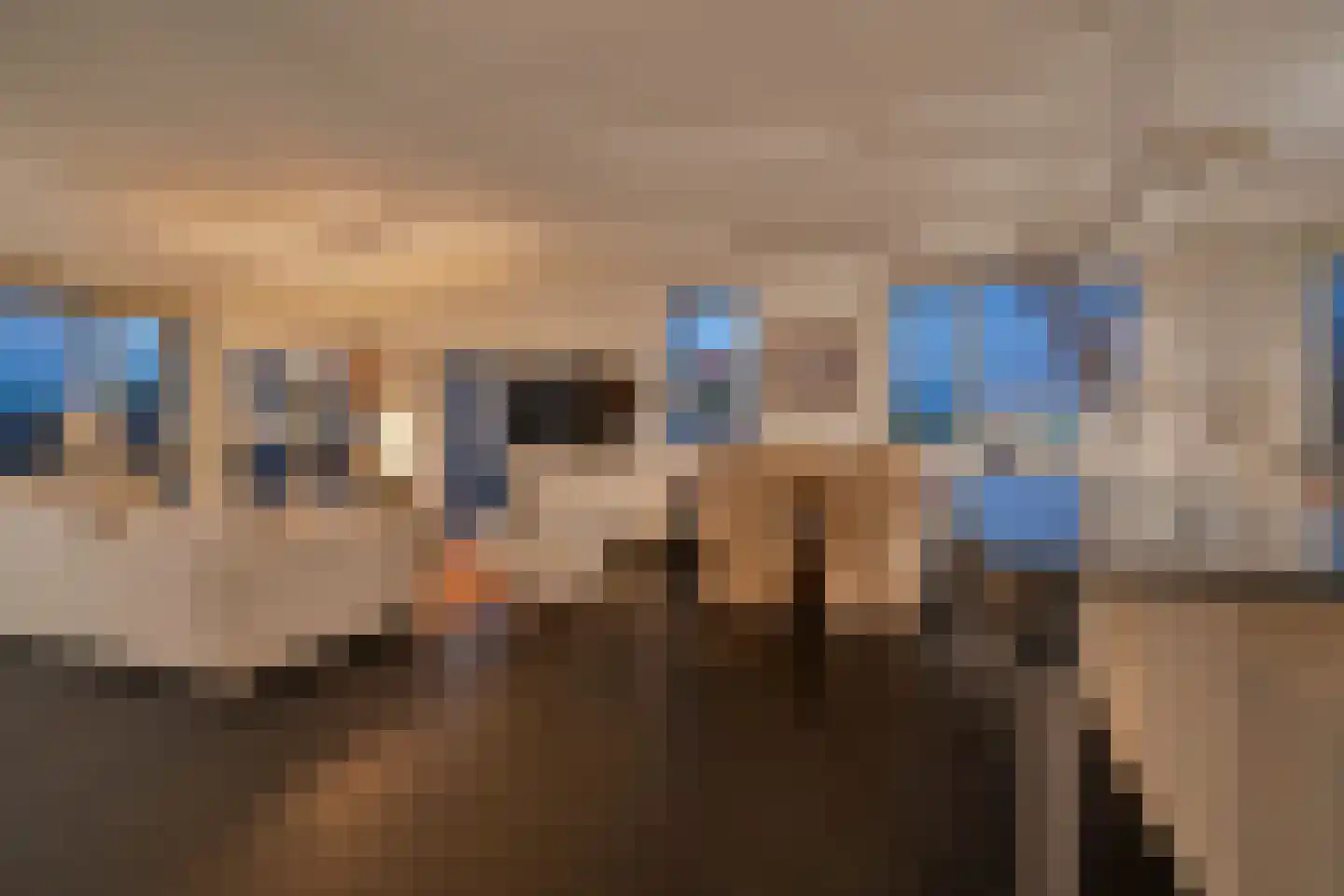 Van Leijenberghlaan 2 T Amsterdam thumbnail 5