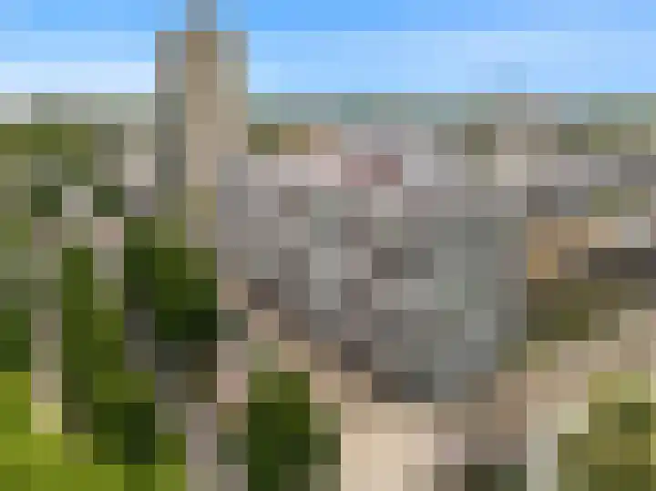 Van Leijenberghlaan 2 T Amsterdam thumbnail 6