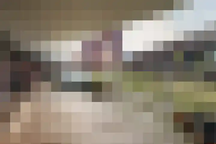 Van Leijenberghlaan 4 B Amsterdam thumbnail 20