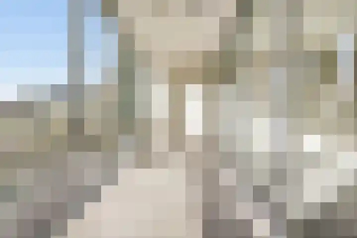 Van Leijenberghlaan 4 G Amsterdam thumbnail 4
