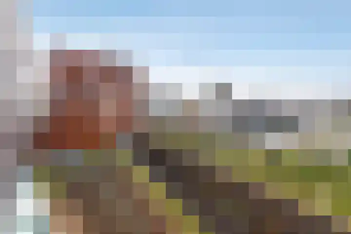 Van Leijenberghlaan 4 G Amsterdam thumbnail 5