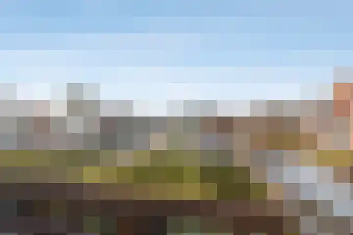Van Leijenberghlaan 4 G Amsterdam thumbnail 6