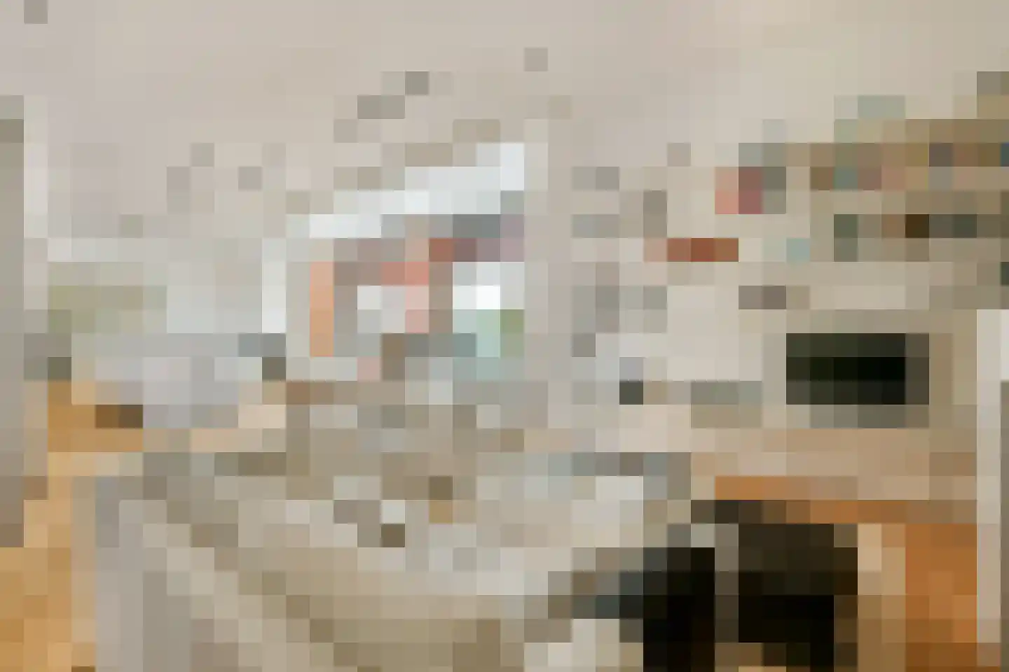 Van Leijenberghlaan 4 N Amsterdam thumbnail 10