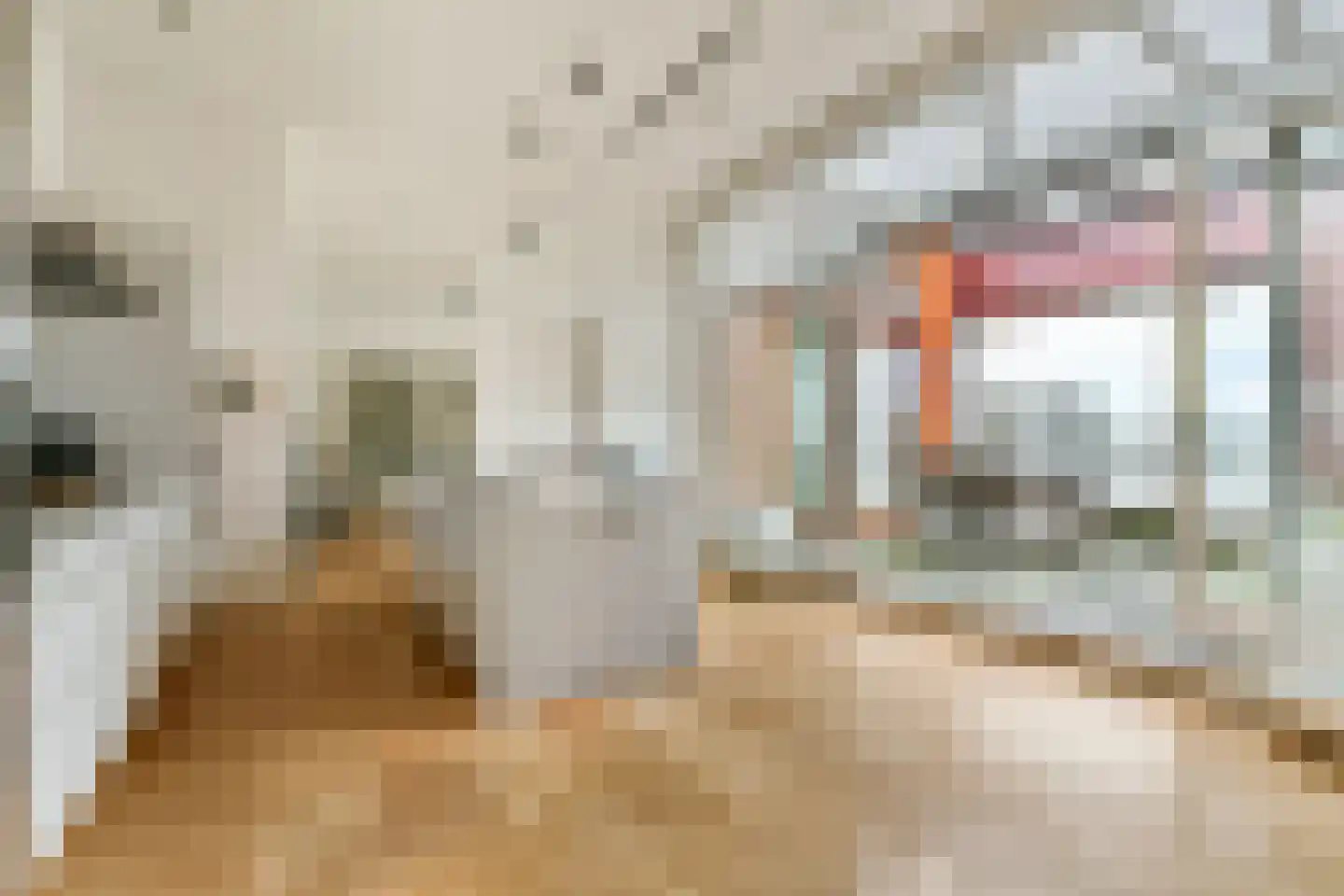 Van Leijenberghlaan 4 N Amsterdam thumbnail 11