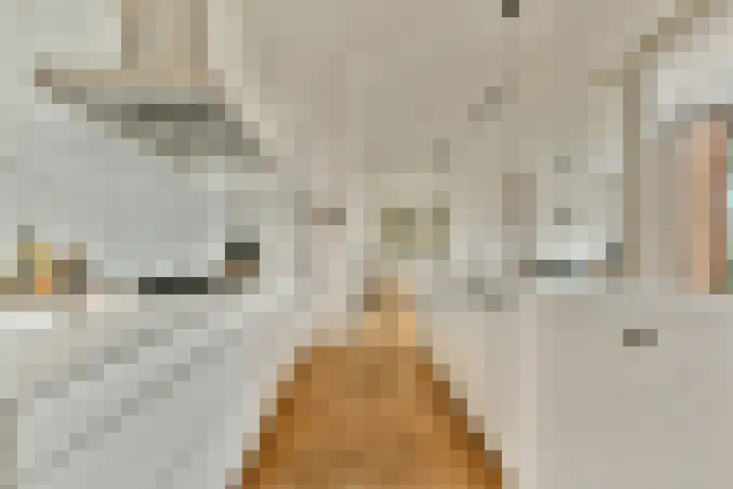 Van Leijenberghlaan 4 N Amsterdam thumbnail 12