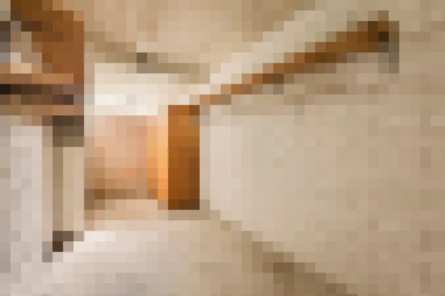 Van Leijenberghlaan 415 3 Amsterdam thumbnail 22