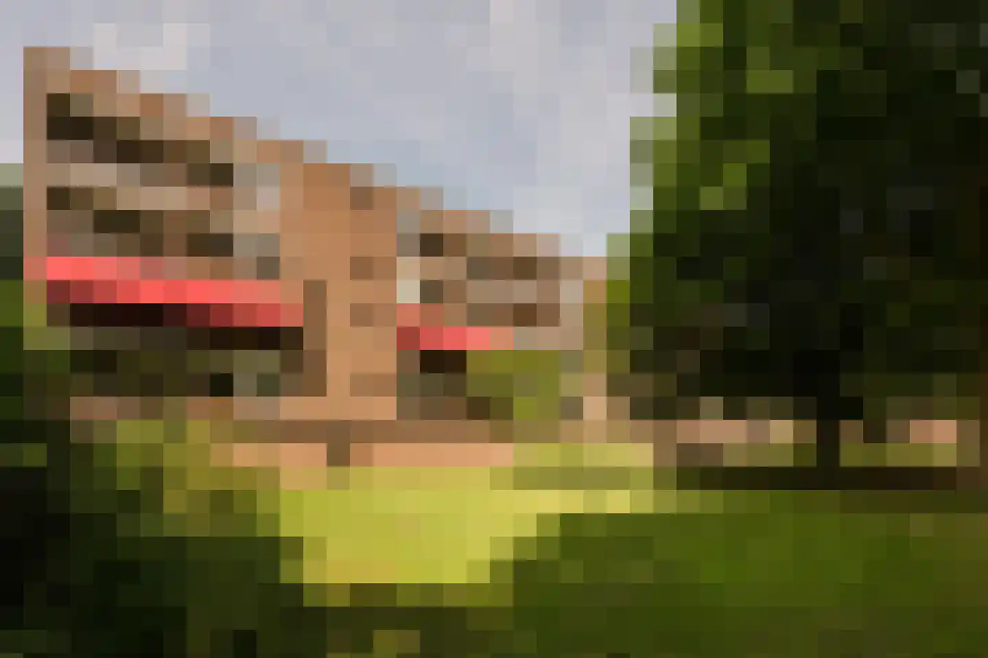 Van Leijenberghlaan 415 3 Amsterdam thumbnail 24