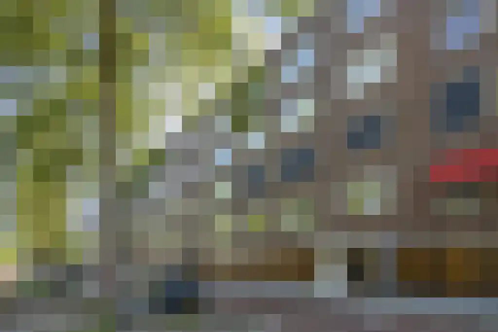 Van Leijenberghlaan 425 1 Amsterdam thumbnail 25