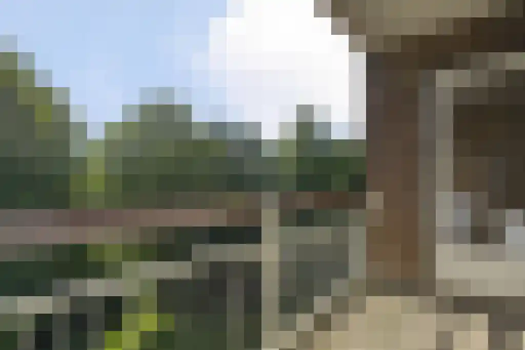 Van Leijenberghlaan 425 1 Amsterdam thumbnail 5