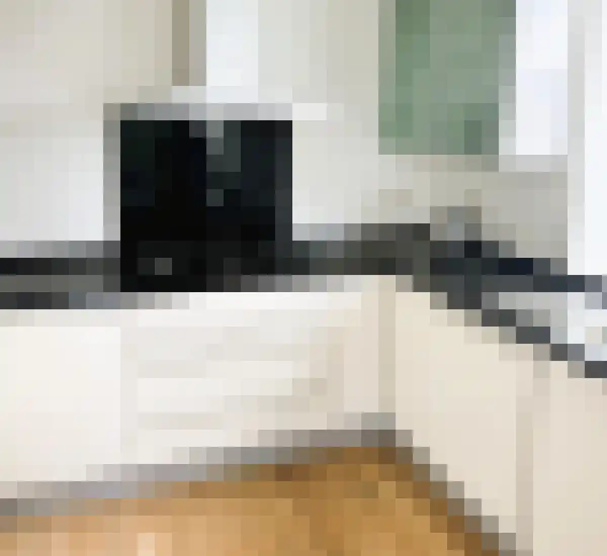 Van Leijenberghlaan 6 Amsterdam thumbnail 5