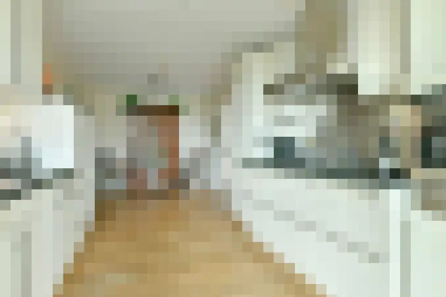 Van Leijenberghlaan 6 H Amsterdam thumbnail 6