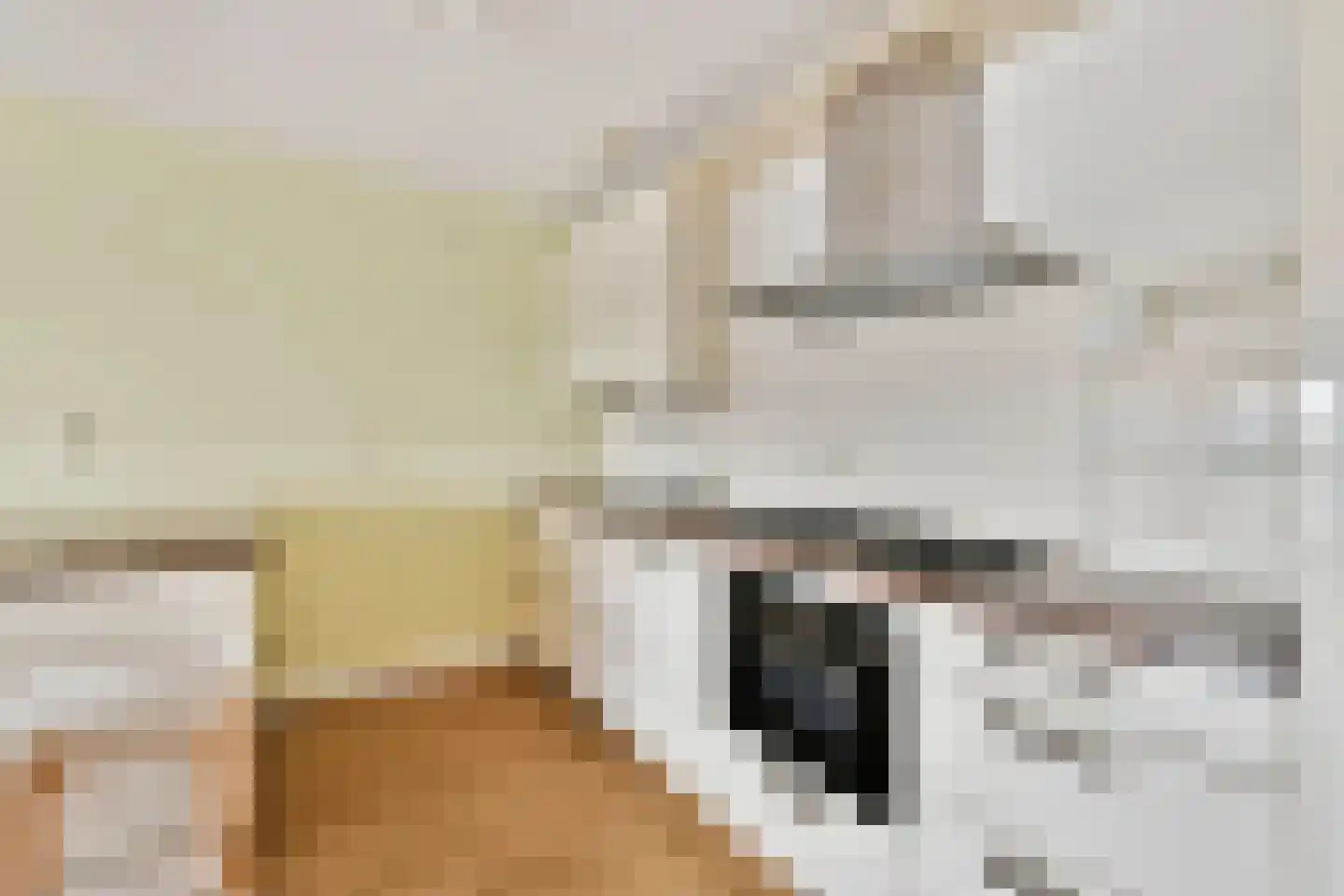 Van Leijenberghlaan 8 S Amsterdam thumbnail 10