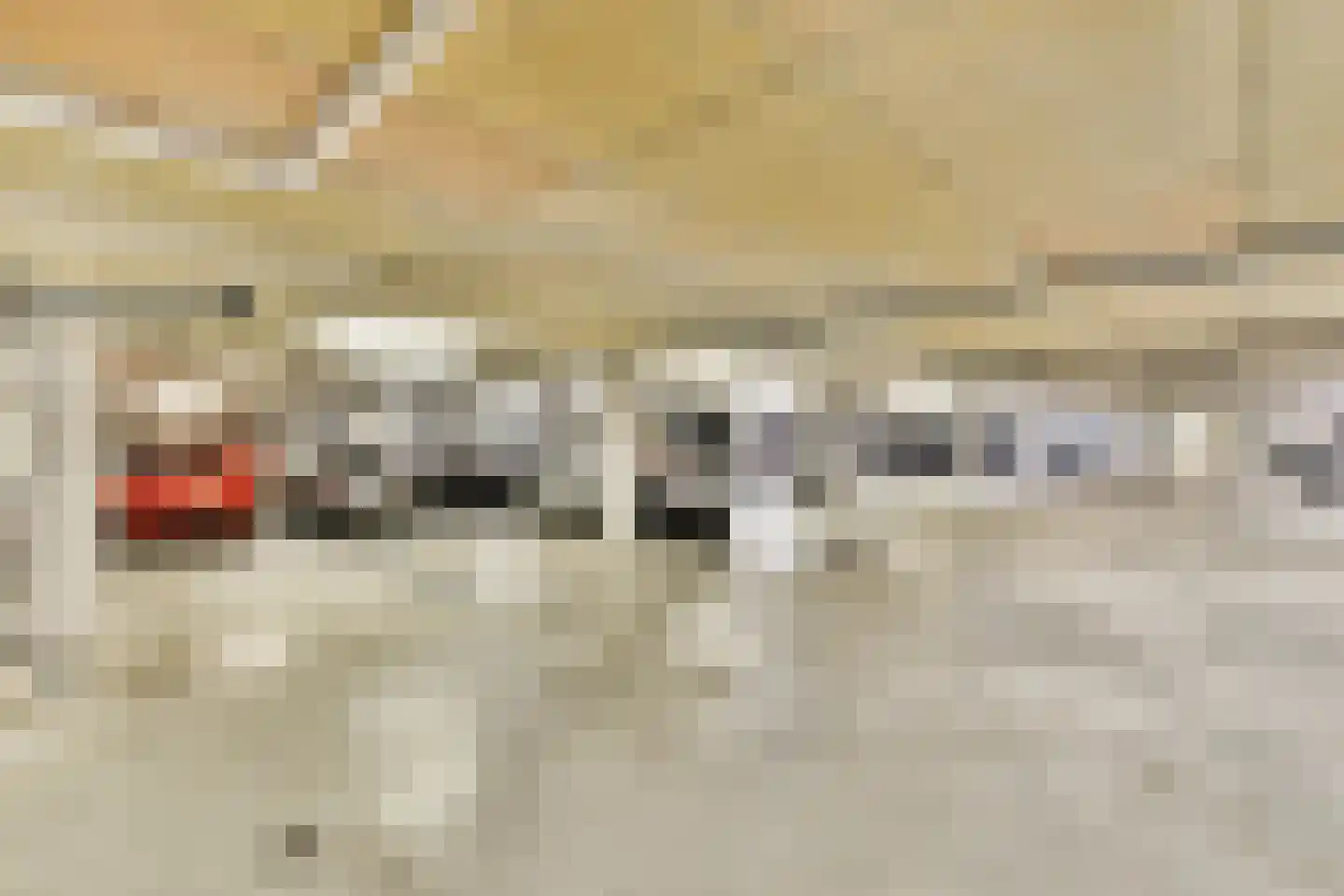 Van Leijenberghlaan 8 S Amsterdam thumbnail 22