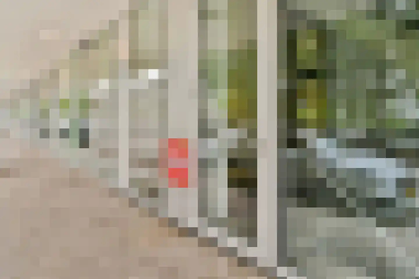Van Leijenberghlaan 8 S Amsterdam thumbnail 24