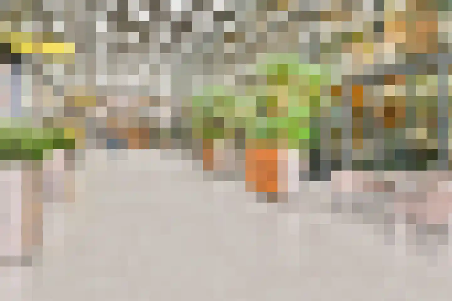 Van Leijenberghlaan 8 S Amsterdam thumbnail 30