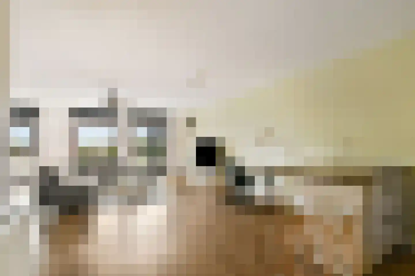 Van Leijenberghlaan 8 S Amsterdam thumbnail 7