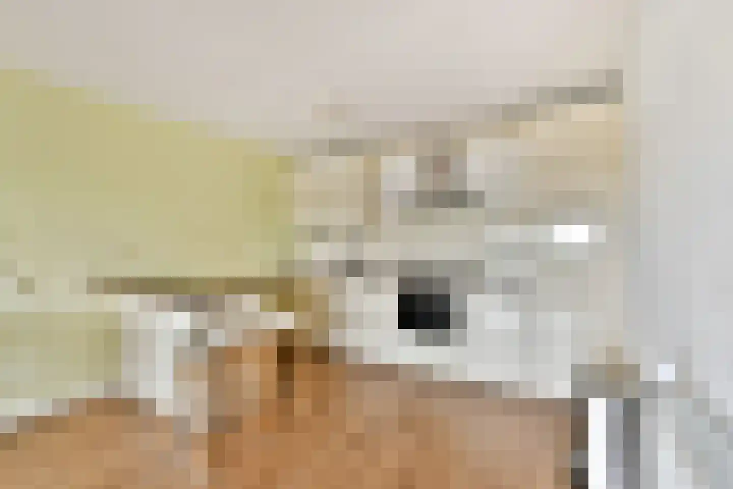 Van Leijenberghlaan 8 S Amsterdam thumbnail 8