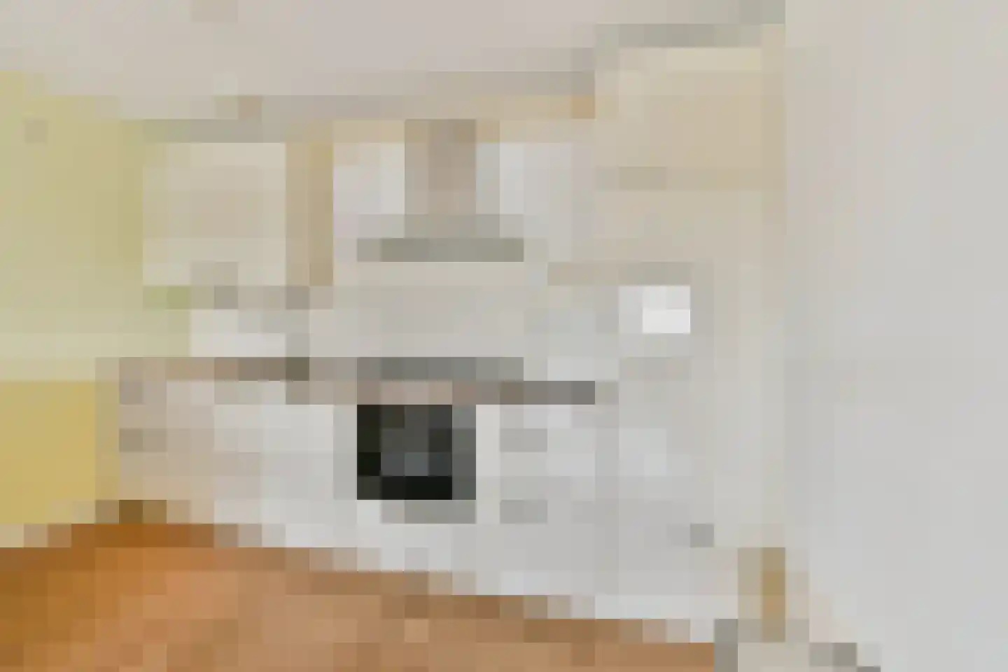 Van Leijenberghlaan 8 S Amsterdam thumbnail 9