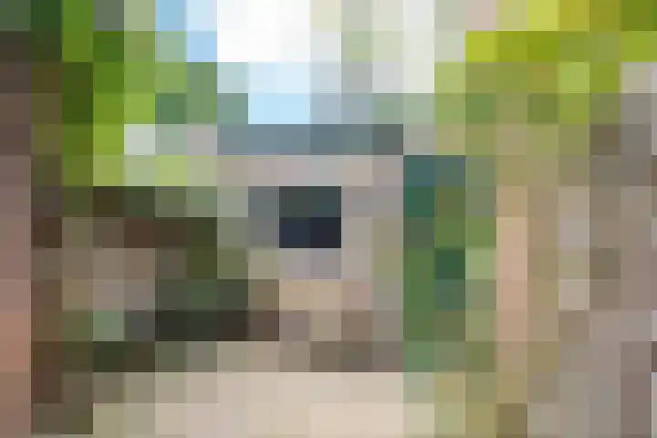 Van Lennepdwarsstraat 3 Utrecht thumbnail 4