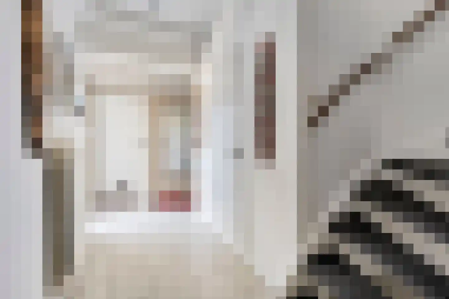 Van Lennephof 21 Oss thumbnail 12