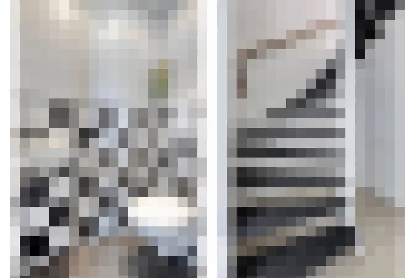 Van Lennephof 21 Oss thumbnail 13