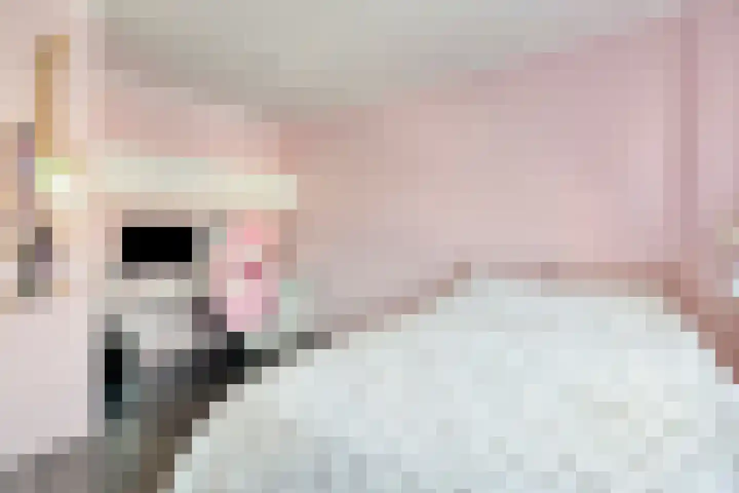 Van Lennephof 21 Oss thumbnail 16