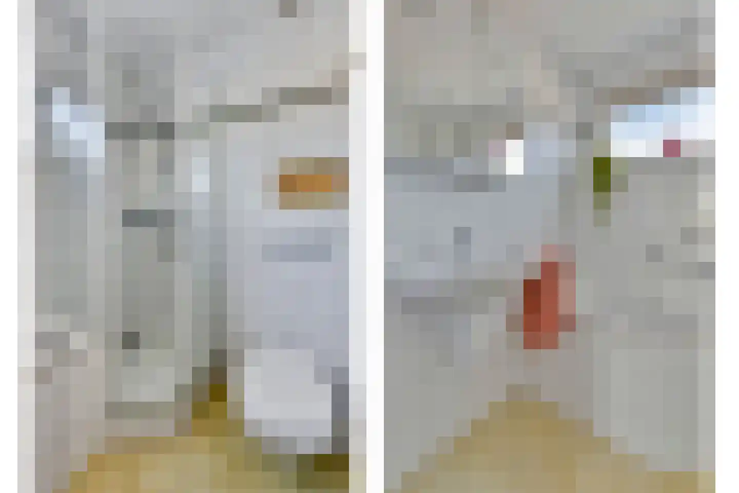 Van Lennephof 21 Oss thumbnail 20