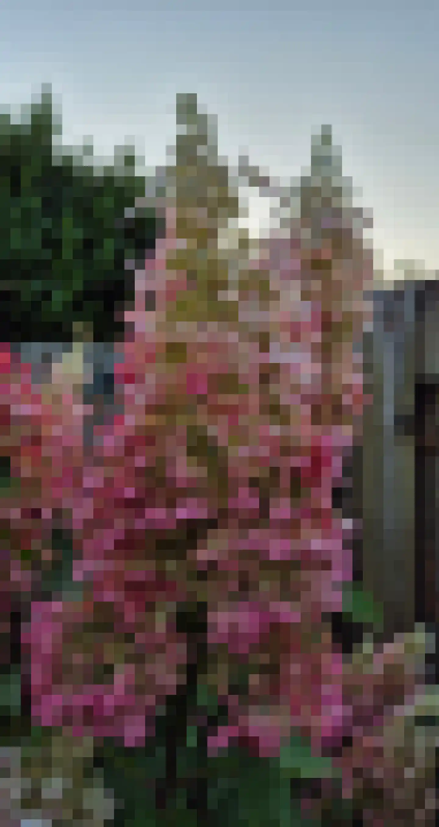 Van Lennephof 21 Oss thumbnail 26