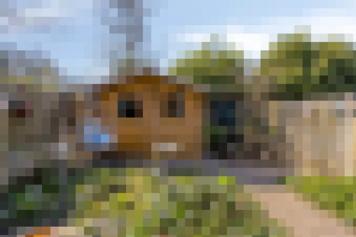 Van Lennephof 21 Oss thumbnail 28