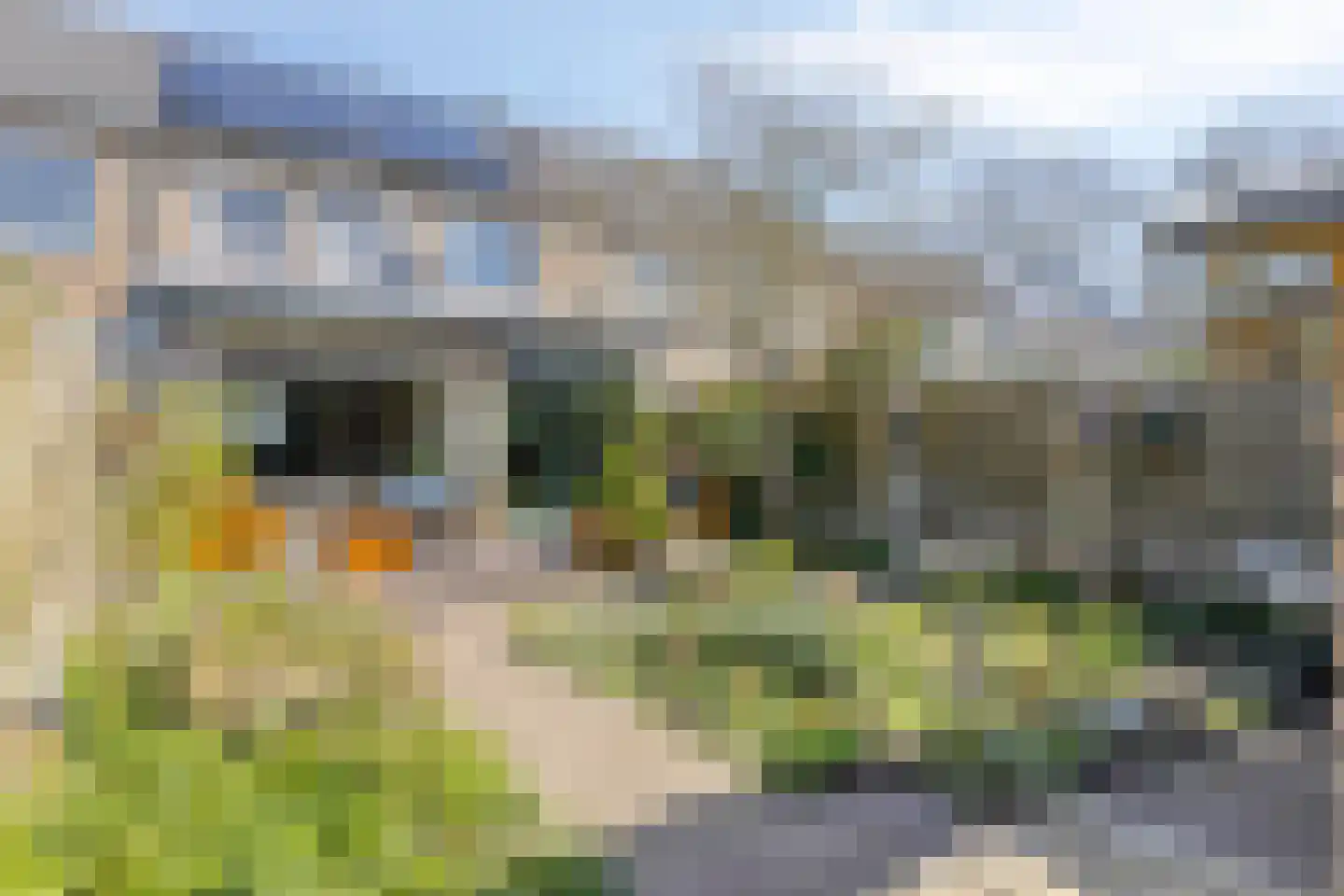 Van Lennephof 21 Oss thumbnail 29