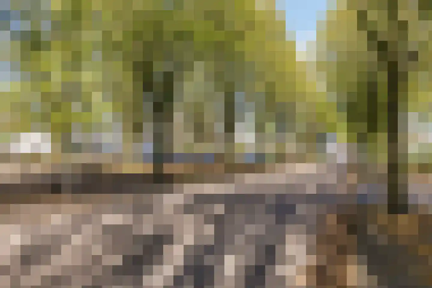 Van Lennephof 21 Oss thumbnail 34