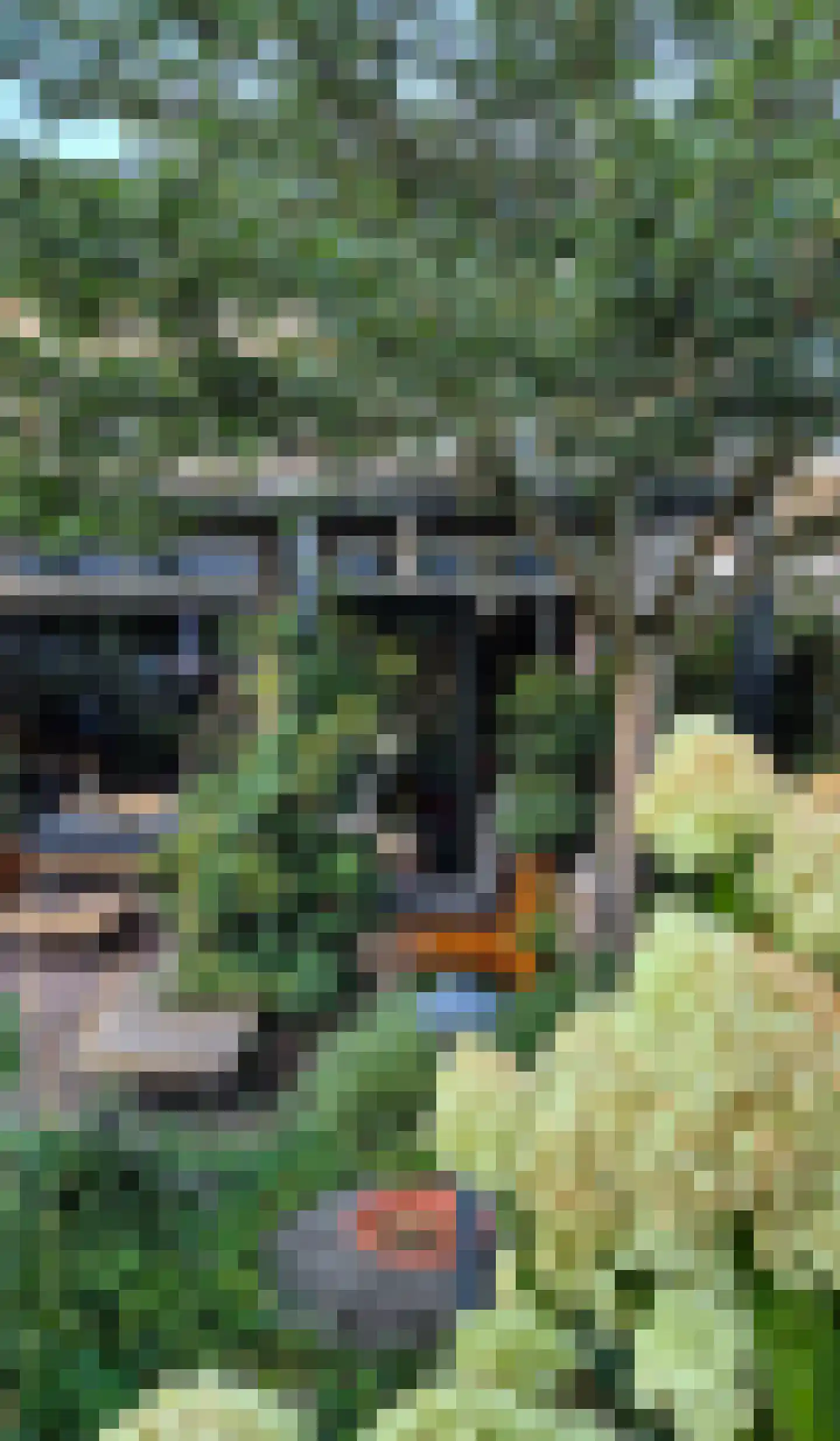 Van Lennephof 21 Oss thumbnail 35