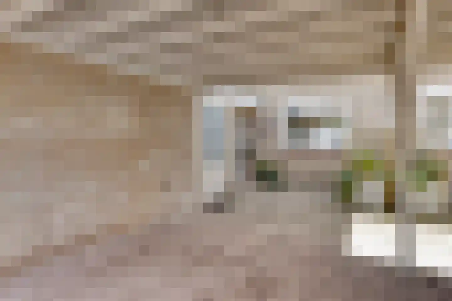 Van Lennephof 21 Oss thumbnail 36