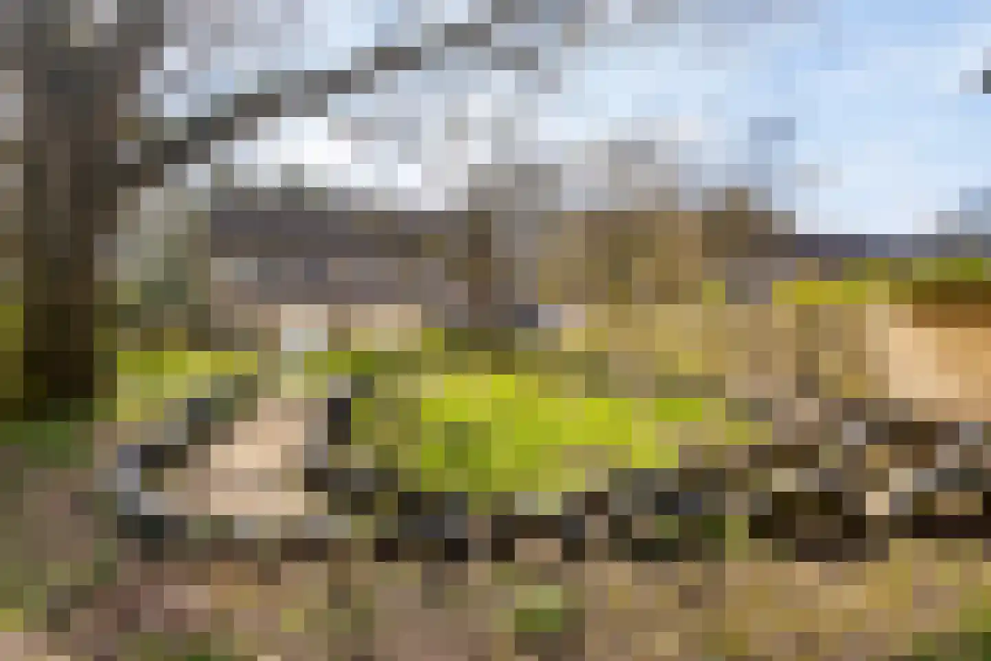 Van Lennephof 36 Oss thumbnail 45