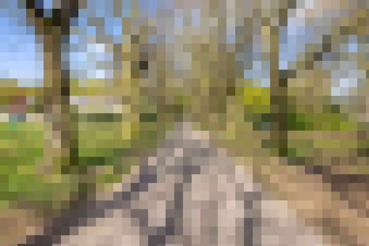 Van Lennephof 36 Oss thumbnail 46