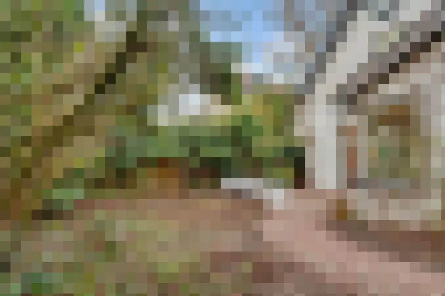 Van Lenneplaan 13 Hilversum thumbnail 61