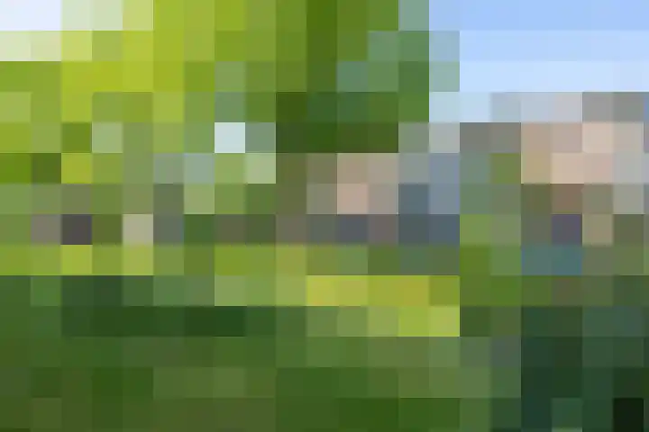 Van Lenneplaan 19 Groningen thumbnail 11