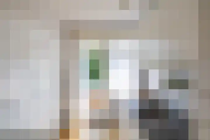 Van Lenneplaan 19 Groningen thumbnail 12