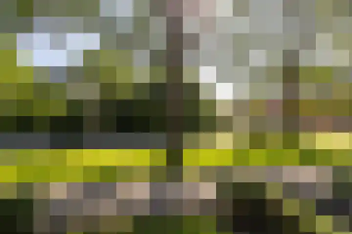 Van Lenneplaan 19 Groningen thumbnail 21