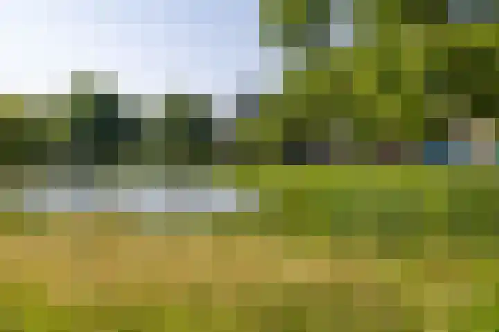 Van Lenneplaan 19 Groningen thumbnail 22