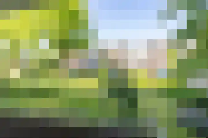 Van Lenneplaan 19 Groningen thumbnail 4