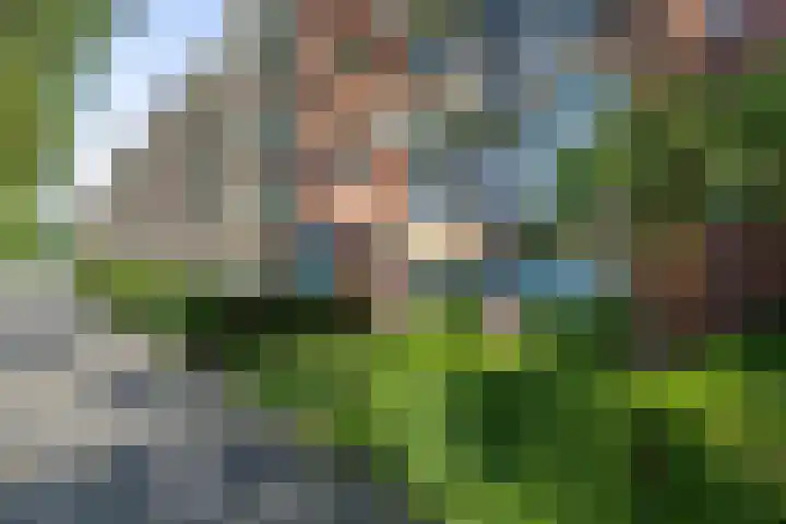 Van Lenneplaan 19 Groningen thumbnail 5