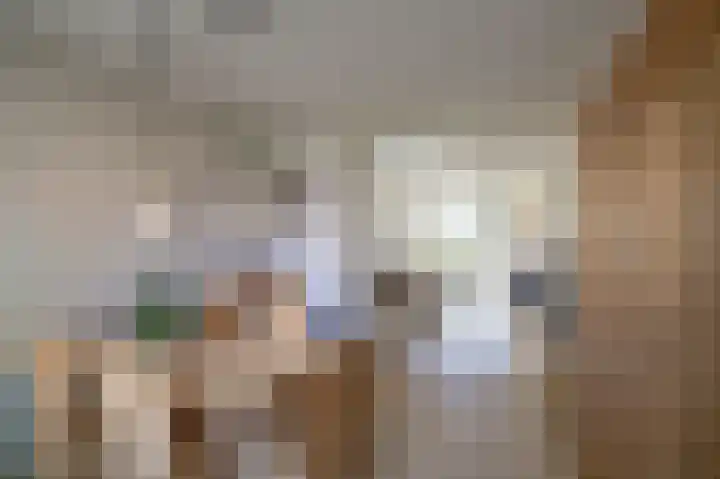 Van Lenneplaan 19 Groningen thumbnail 9