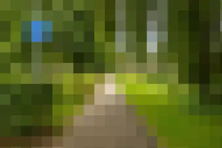 Van Lenneplaan 205 Groningen thumbnail 25
