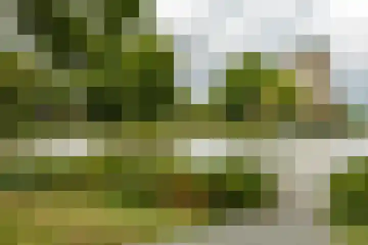 Van Lenneplaan 205 Groningen thumbnail 26