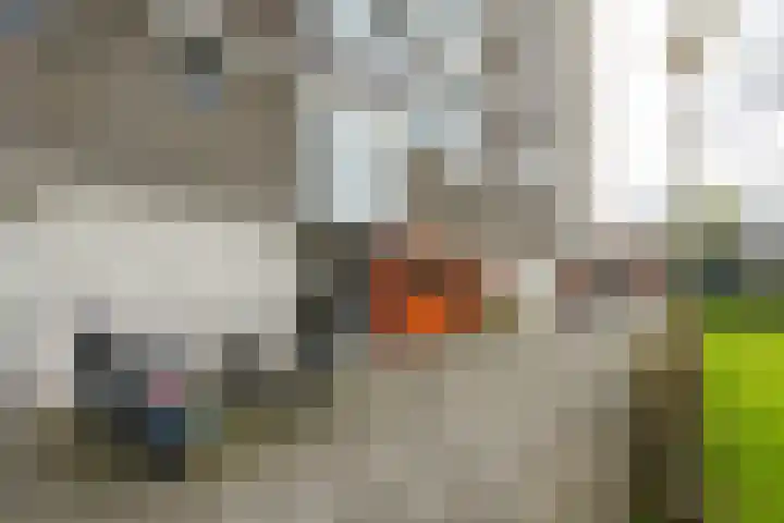 Van Lenneplaan 205 Groningen thumbnail 7
