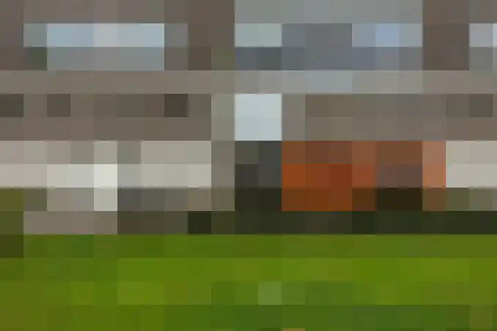 Van Lenneplaan 205 Groningen thumbnail 8