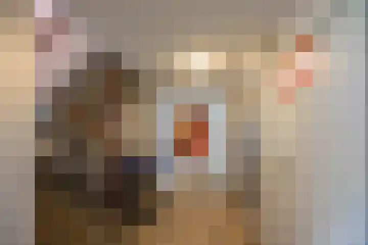 Van Lenneplaan 205 Groningen thumbnail 9